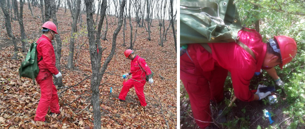 SmartSolo智能地震数据采集系统，为获取辽东重点矿集区地下高分辨率反射成像.png